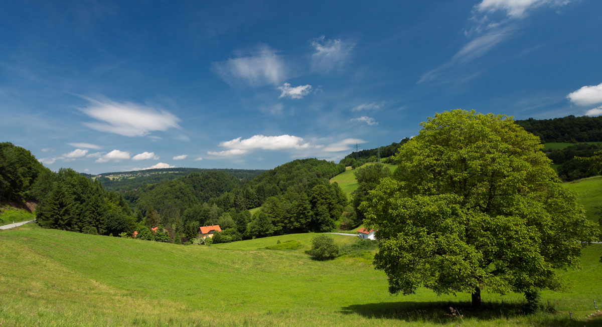 Anreise in den Bayerischen Wald